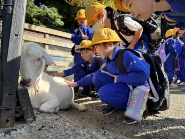 11/12（火）動物をたくさん見てきました