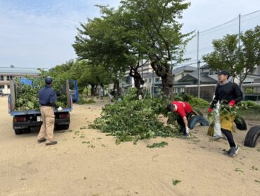 ７/５（土）桜の木の剪定を行いました