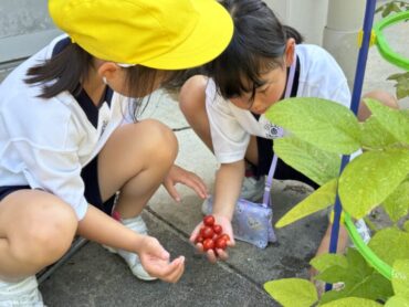 ７/１４（月）古府っ子の学校生活