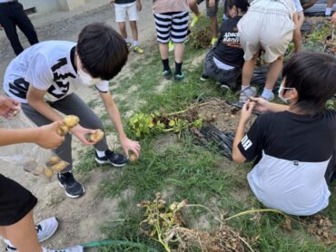 ７/２４（木）ジャガイモがたくさん取れました